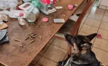 Decomisan armas y droga en cateo en Montemorelos