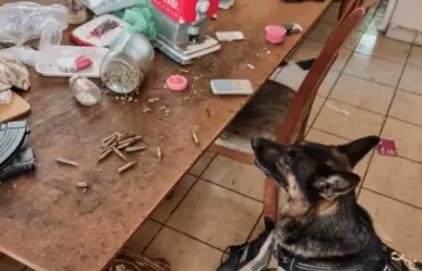 Decomisan armas y droga en cateo en Montemorelos