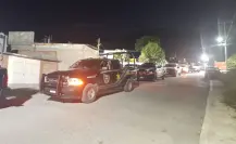 Aseguran 28 kilos de mariguana y aves exóticas en cateo en Saltillo