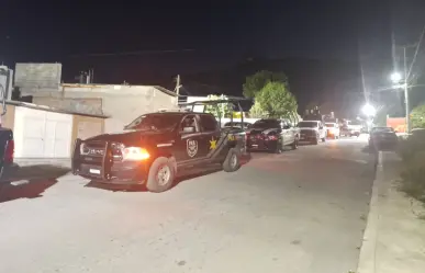 Aseguran 28 kilos de mariguana y aves exóticas en cateo en Saltillo