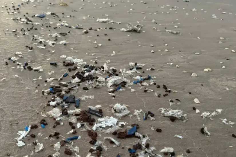 Residuos espaciales del cohete Starship de SpaceX en playa Bagdad | Foto: FB
