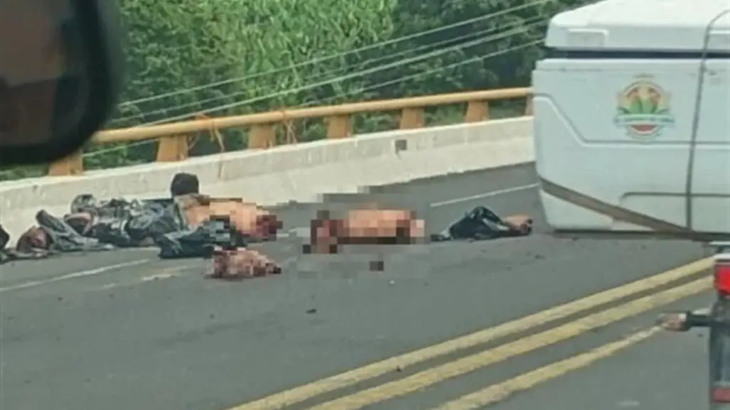 Investigan hallazgo de cuerpos desmembrados en carretera de Poza Rica, Veracruz