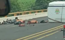 Investigan hallazgo de cuerpos desmembrados en carretera de Poza Rica, Veracruz