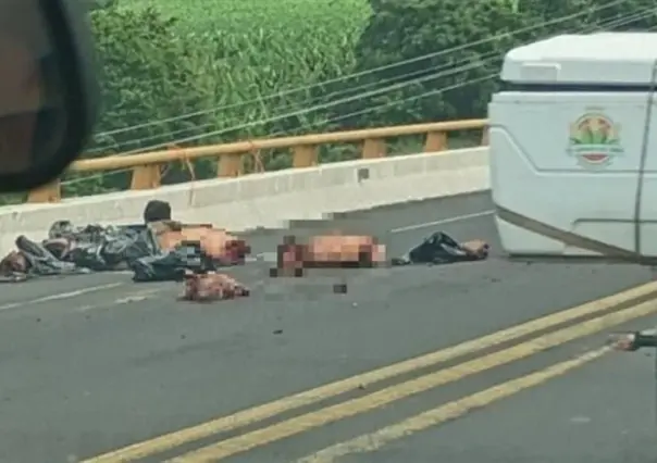 Investigan hallazgo de cuerpos desmembrados en carretera de Poza Rica, Veracruz