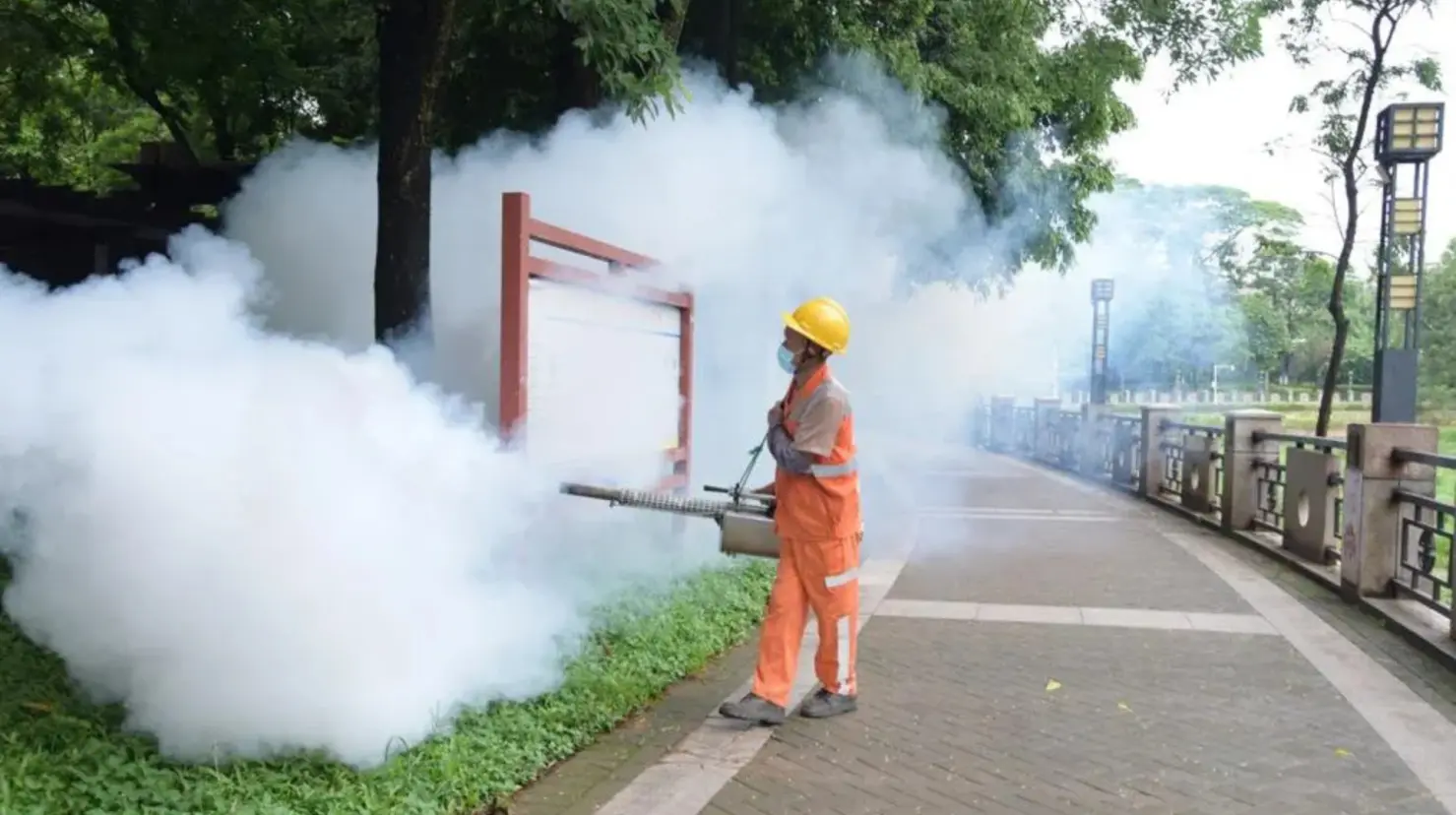 China enfrenta brote de chikungunya con nuevas medidas sanitarias. Foto: Getty Images