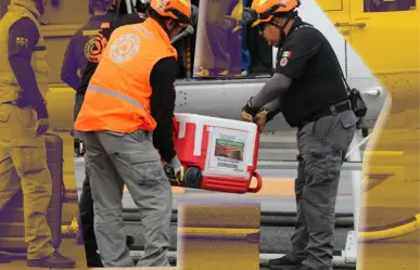 ¡Vuelo por la vida! Corazón llega a Nuevo León para trasplante inmediato