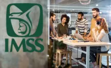 IMSS: Los 5 seguros que ofrece a trabajadores independientes y sus familias