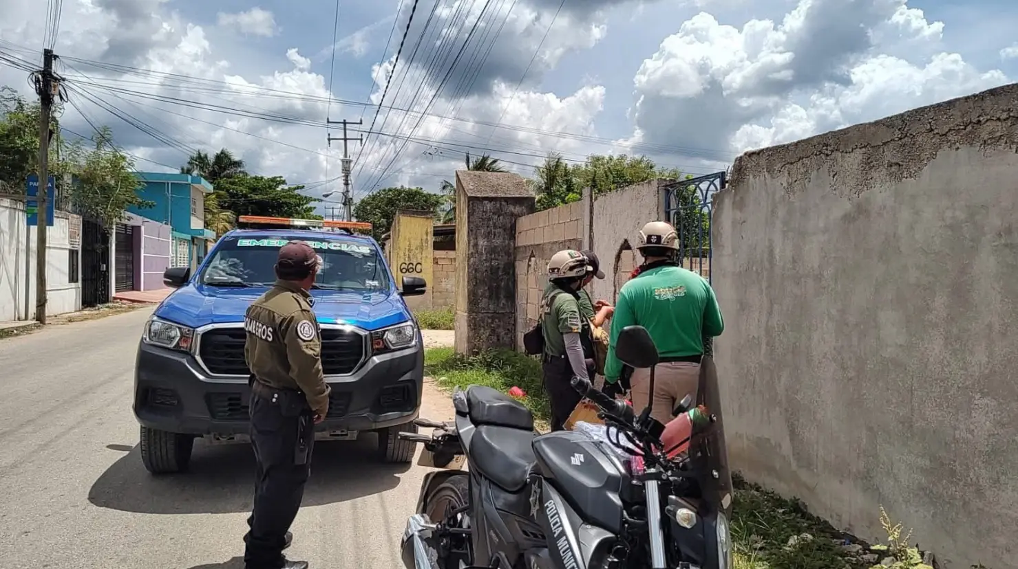 ¿Qué hizo la Policía Ecológica de Kanasín ante la denuncia? Foto: Cortesía