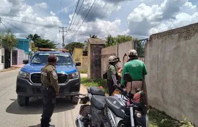 Presunto caso de maltrato animal en Kanasín moviliza a la Policía Ecológica