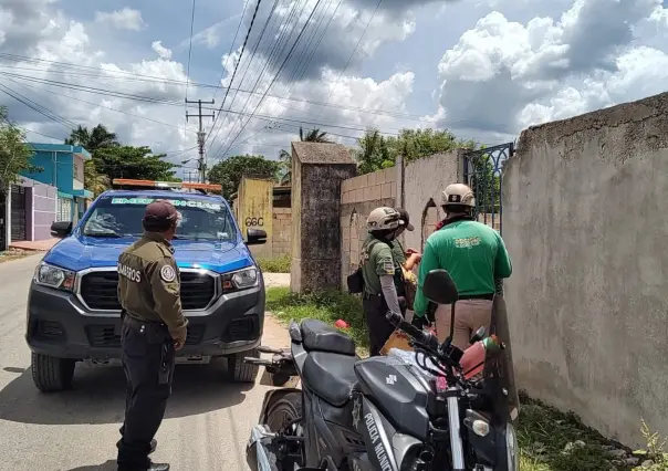 Presunto caso de maltrato animal en Kanasín moviliza a la Policía Ecológica
