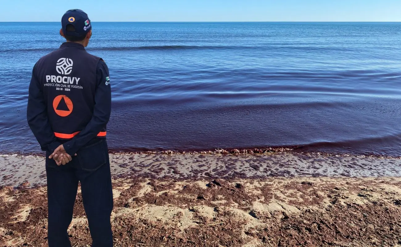 ¿Cómo identificar visualmente la marea roja? Foto: Canva | Procivy