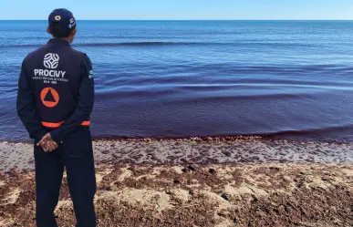 ¿Cómo puedo saber si hay marea roja en las playas de Yucatán?