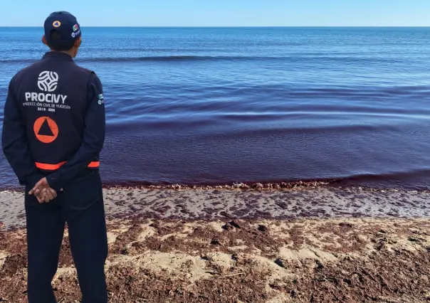 ¿Cómo puedo saber si hay marea roja en las playas de Yucatán?