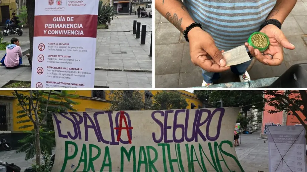Zonas cannábicas en CDMX: dónde están, cómo funcionan y qué opina la gente