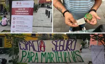 Zonas cannábicas en CDMX: dónde están, cómo funcionan y qué opina la gente