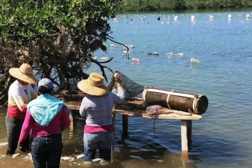 Foto: Gobierno de Baja California Sur