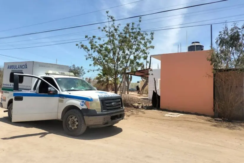 Foto: SOS Rotativo