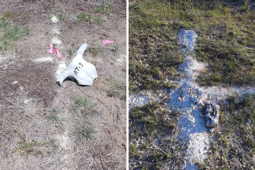 Señalización que hicieron personas ajenas a la Sierra de la Laguna. Foto: Cortesía.