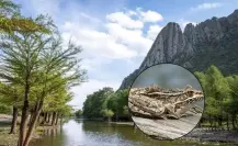 3 anfibios que viven en el Cañón de Fernández, el increíble Parque Estatal de Durango