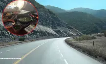 La ruta de las gorditas más famosas de Tamaulipas