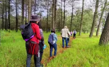 La enigmática ruta de senderismo en Edomex que cruza ruinas mineras antiguas