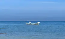 Marea roja en la costa de Yucatán; el Cinvestav lo confirma