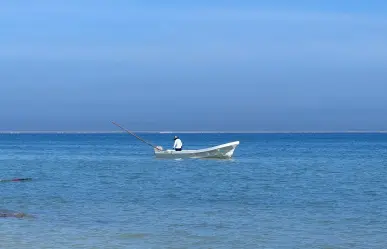 Marea roja en la costa de Yucatán; el Cinvestav lo confirma