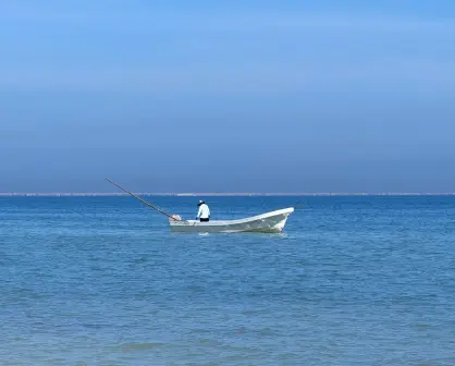 Marea roja en la costa de Yucatán; el Cinvestav lo confirma