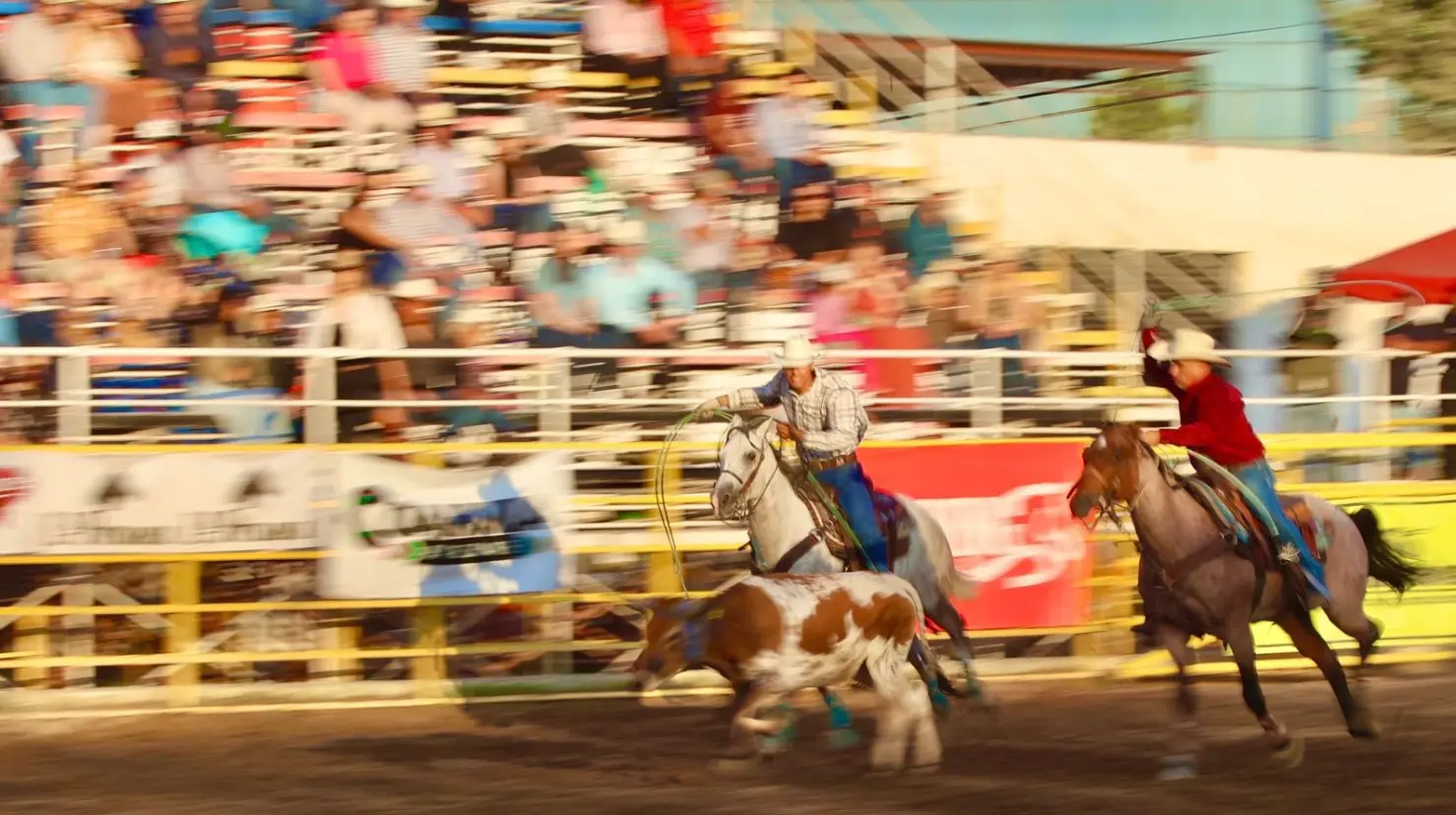 Rodeo. Foto de Secretaría de Turismo.
