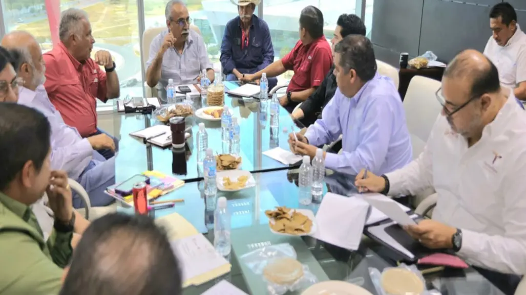 ¿El futuro del sorgo está en Tamaulipas? Apuntan al procesamiento local como alternativa económica