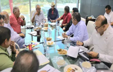 ¿El futuro del sorgo está en Tamaulipas? Apuntan al procesamiento local como alternativa económica