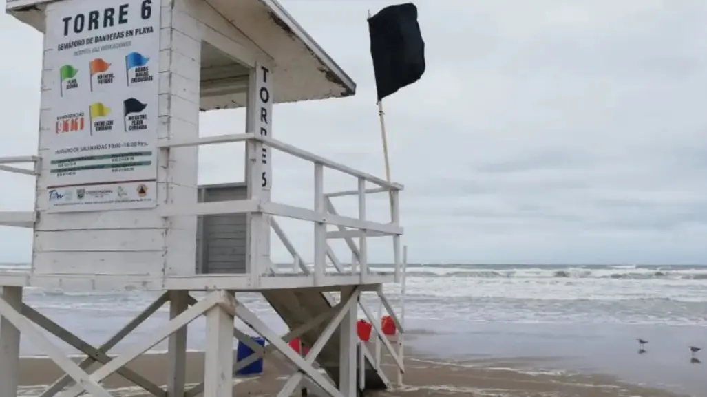 Esta bandera en playas tamaulipecas indica presencia de medusas o agua mala
