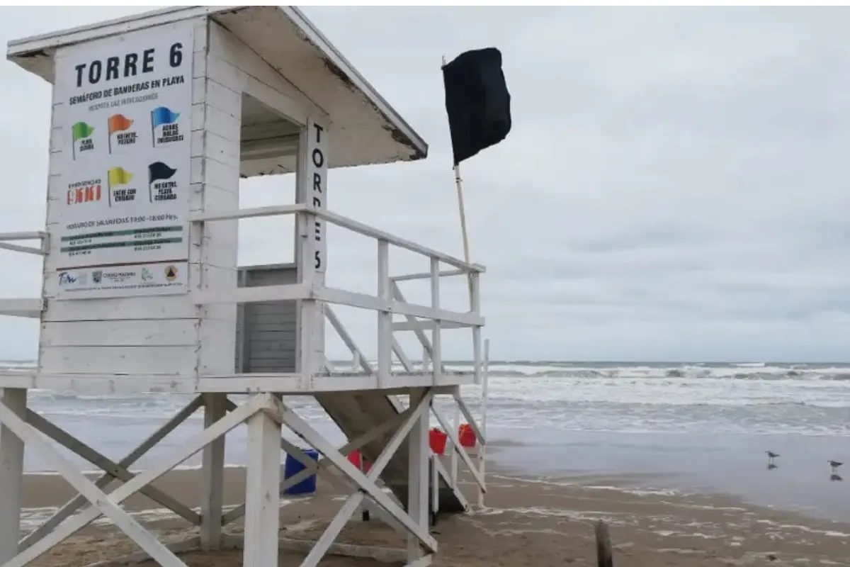 Descubre las precauciones necesarias en las playas de Tamaulipas ante la presencia de medusas y las diferentes banderas de advertencia