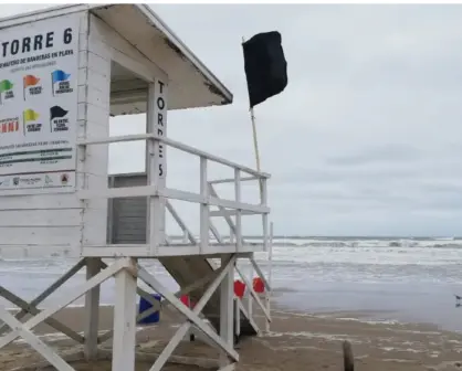 Esta bandera en playas tamaulipecas indica presencia de medusas o agua mala