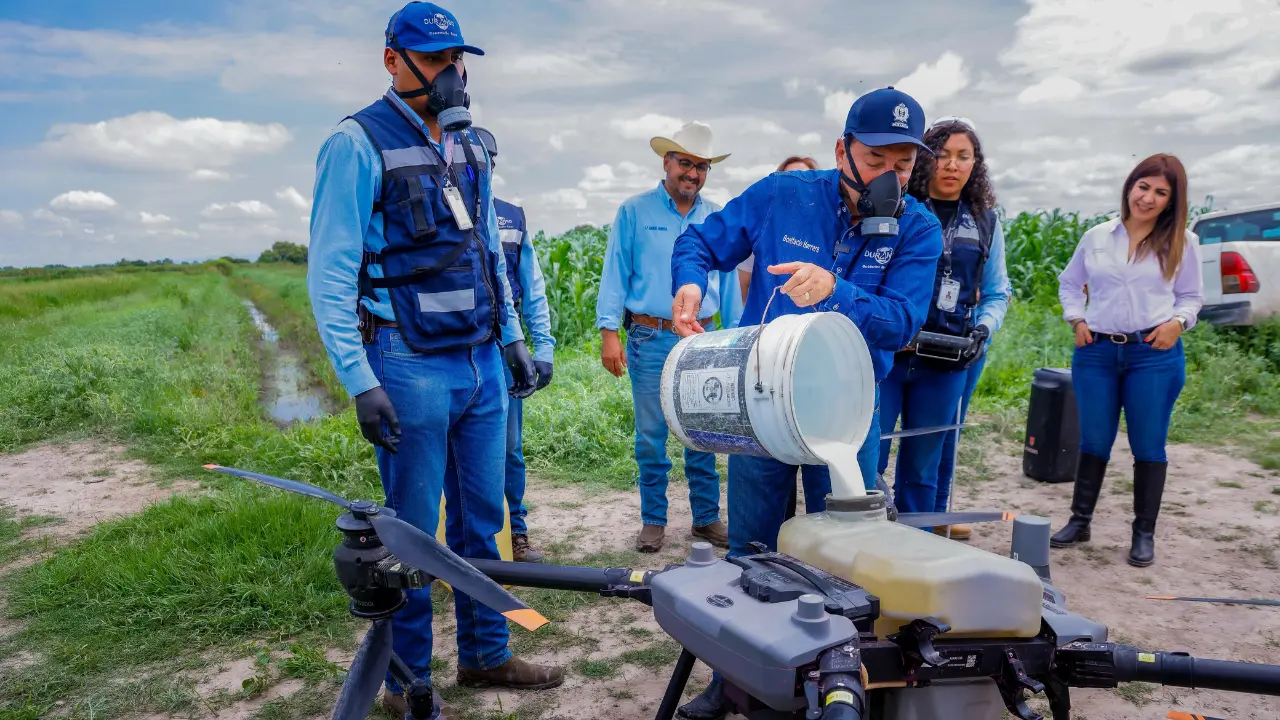 Ante la plaga de chapulín que se registra en Durango, el Gobierno Municipal apoya a los campesinos con un dron especializado. Foto: Cortesía.