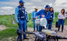 Plaga de chapulín en Durango es combatida por aire y tierra; así la enfrentan