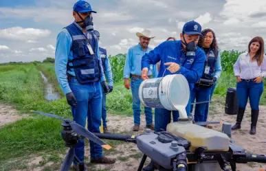 Plaga de chapulín en Durango es combatida por aire y tierra; así la enfrentan