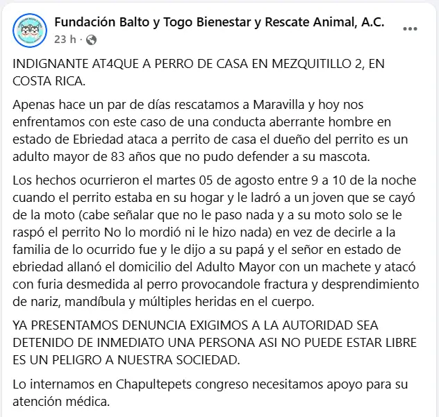 Foto: Facebook (Fundación Balto y Togo Bienestar y Rescate Animal, A.C.) (Captura de pantalla)