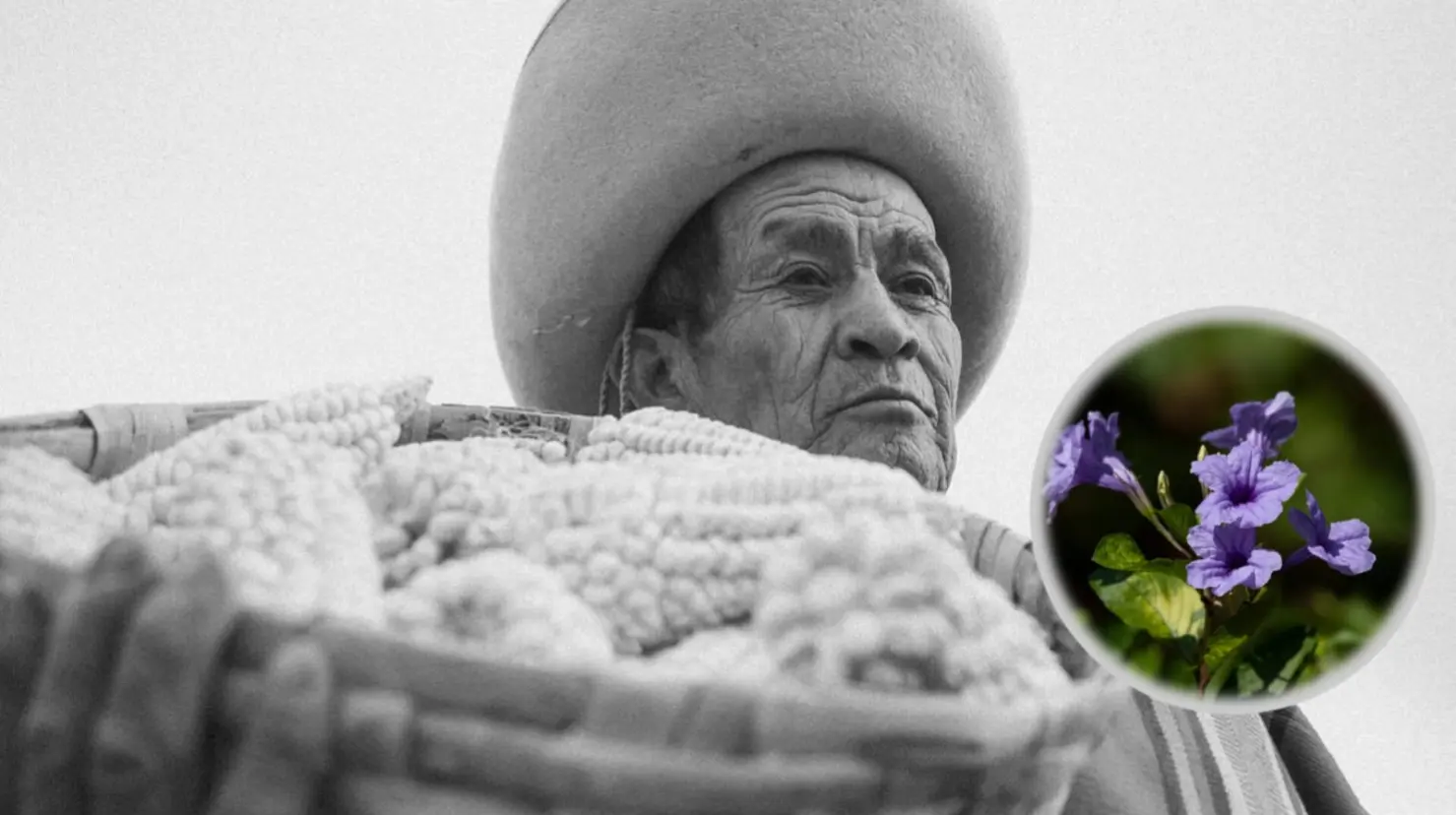 Foto: Pixabay | Conoce el único municipio de Durango cuyo nombre proviene del Náhuatl.