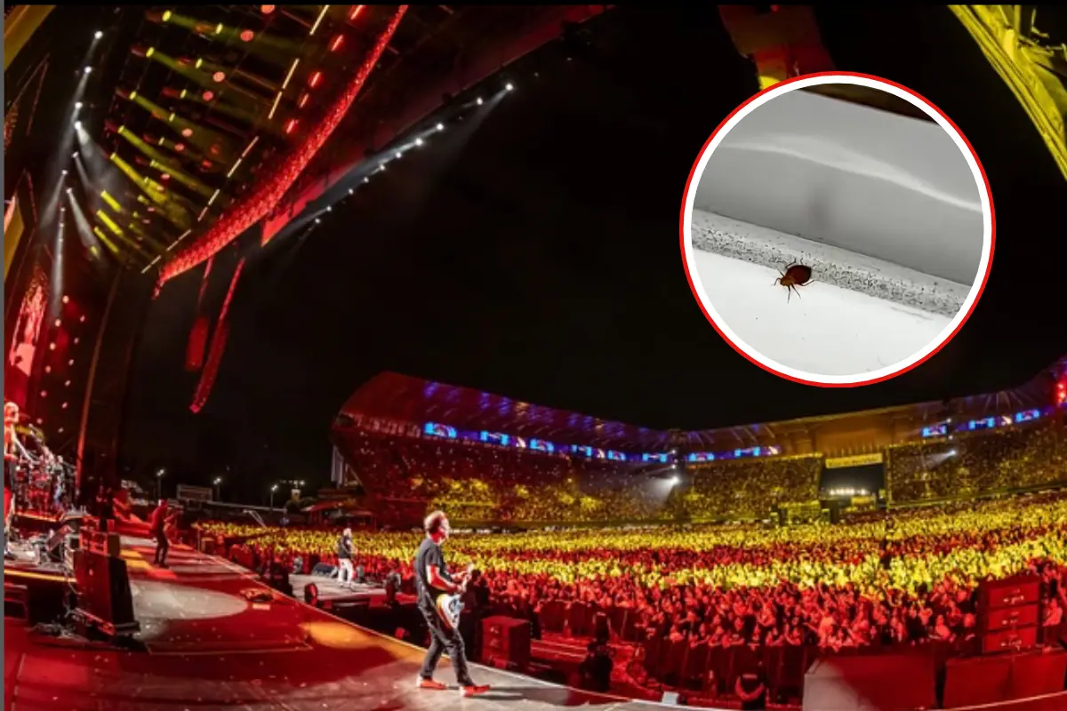 ¿Hay chinches en el Estadio GNP Seguros? (Foto: IG @ocesa, @estadiognpseguros / Canva)
