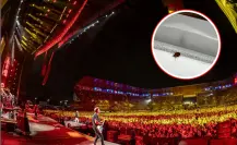¿Hay chinches en el Estadio GNP Seguros? Esto es lo que debes saber antes de ir a un concierto