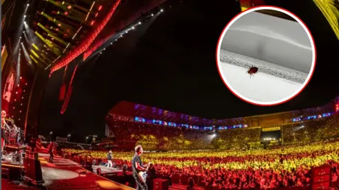 ¿Hay chinches en el Estadio GNP Seguros? Esto es lo que debes saber antes de ir a un concierto