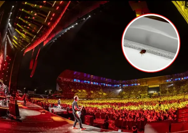 ¿Hay chinches en el Estadio GNP Seguros? Esto es lo que debes saber antes de ir a un concierto