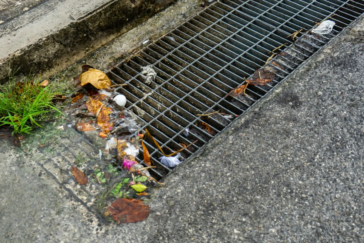 En estas áreas se contempla tanto la construcción de nuevos drenajes como la canalización de arroyos, particularmente el Arroyo del Cuatro./ Foto: Canva
