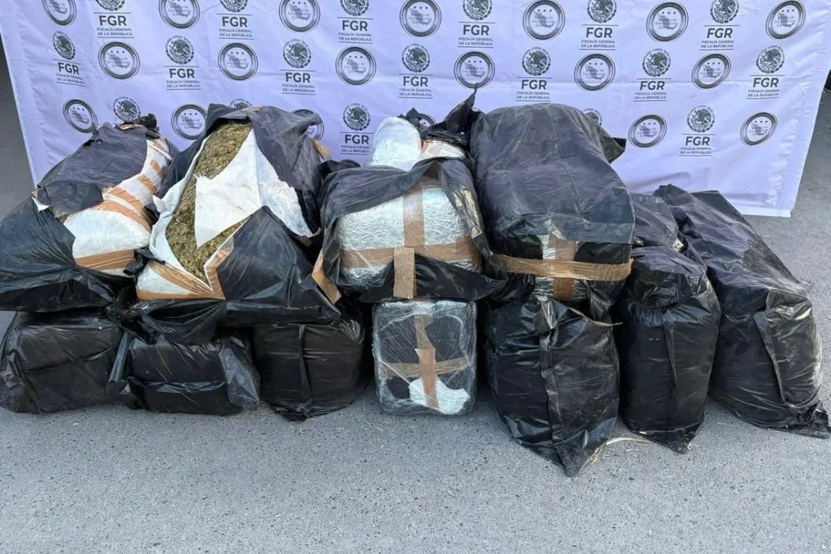 Kilos de marihuana decomisados en General Bravo, Nuevo León. Foto: FGR