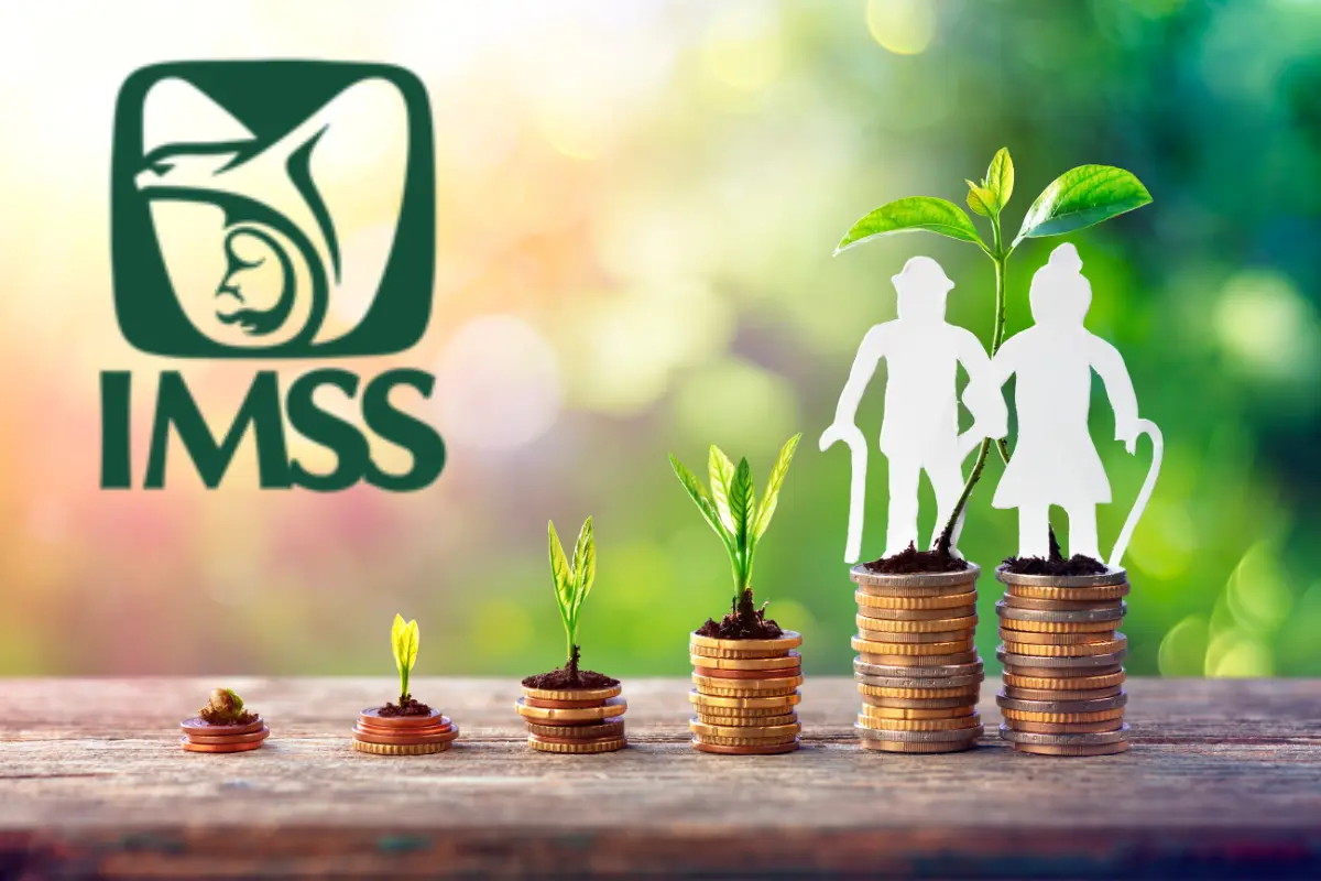 El costo de la semana de cotización en el IMSS como parte de la Modalidad 40 en 2025 se basa en el valor de la UMA. Foto: IMSS | Canva