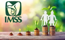 IMSS: Esto es lo que cuesta una semana de cotización en la Modalidad 40 en 2025