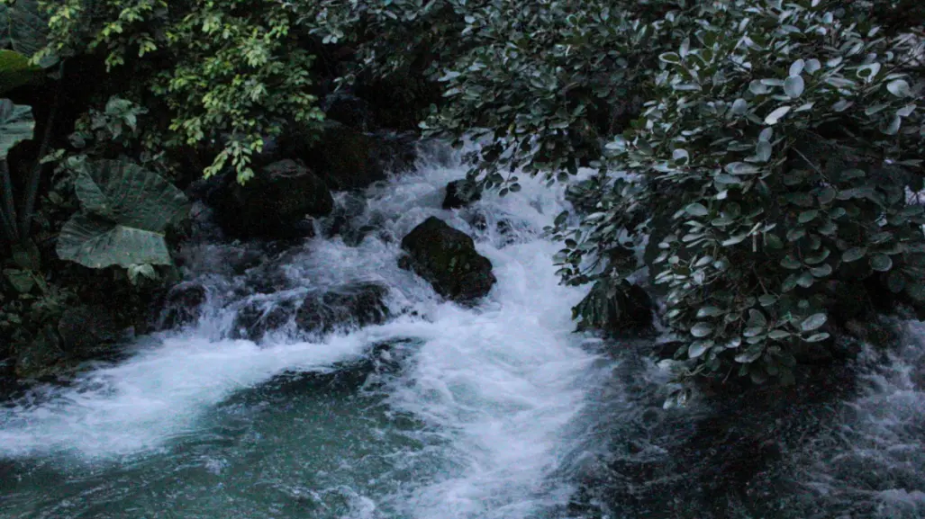 Este río es un paraíso natural ubicado en Jaumave.