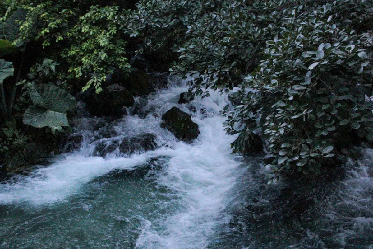 Descubre el río Los Nogales en Tamaulipas, un espacio natural con aguas cristalinas y paisajes impresionantes
