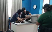 Mujer atropella a un perro en Kanasín y se niega a cubrir gastos veterinarios